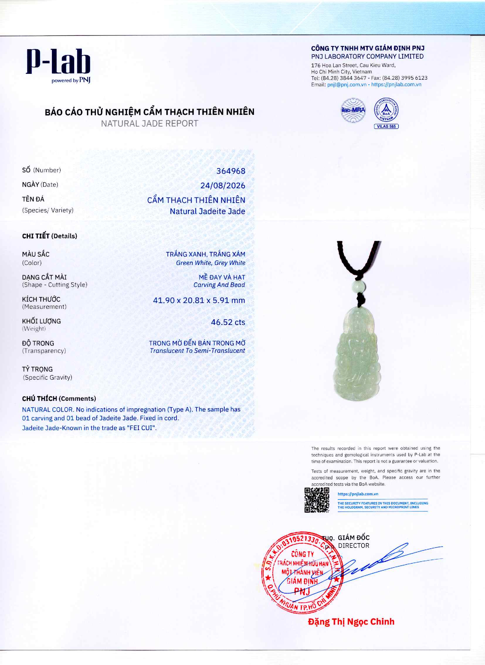 Giấy giám định 364968