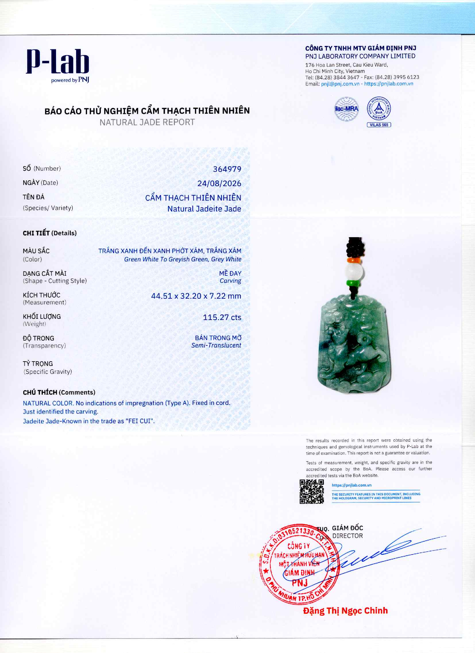 Giấy giám định 364979