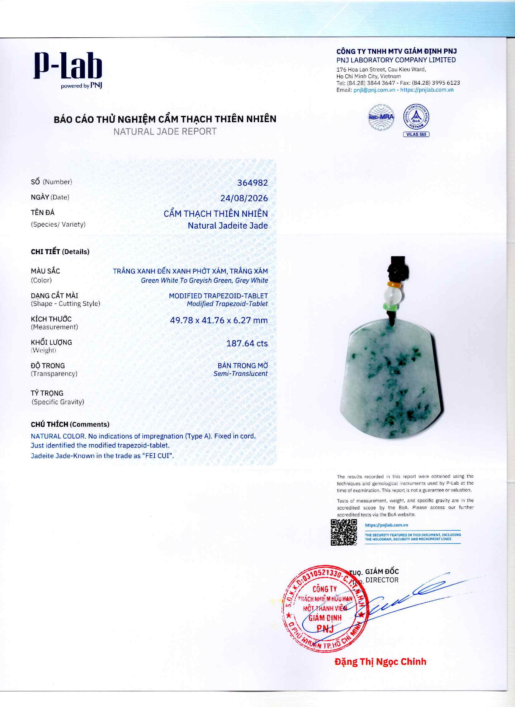 Giấy giám định 364982