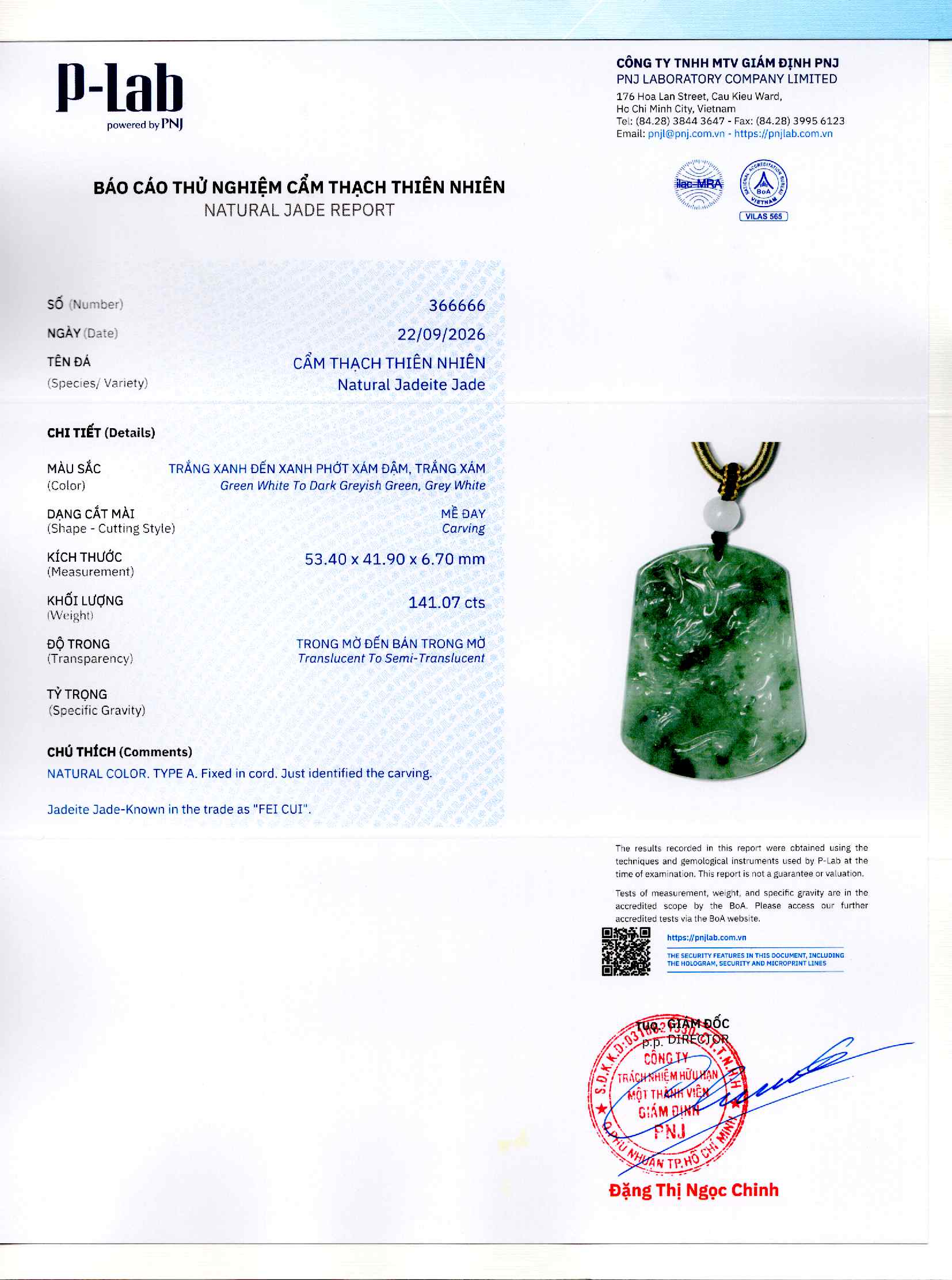 Giấy giám định 366666