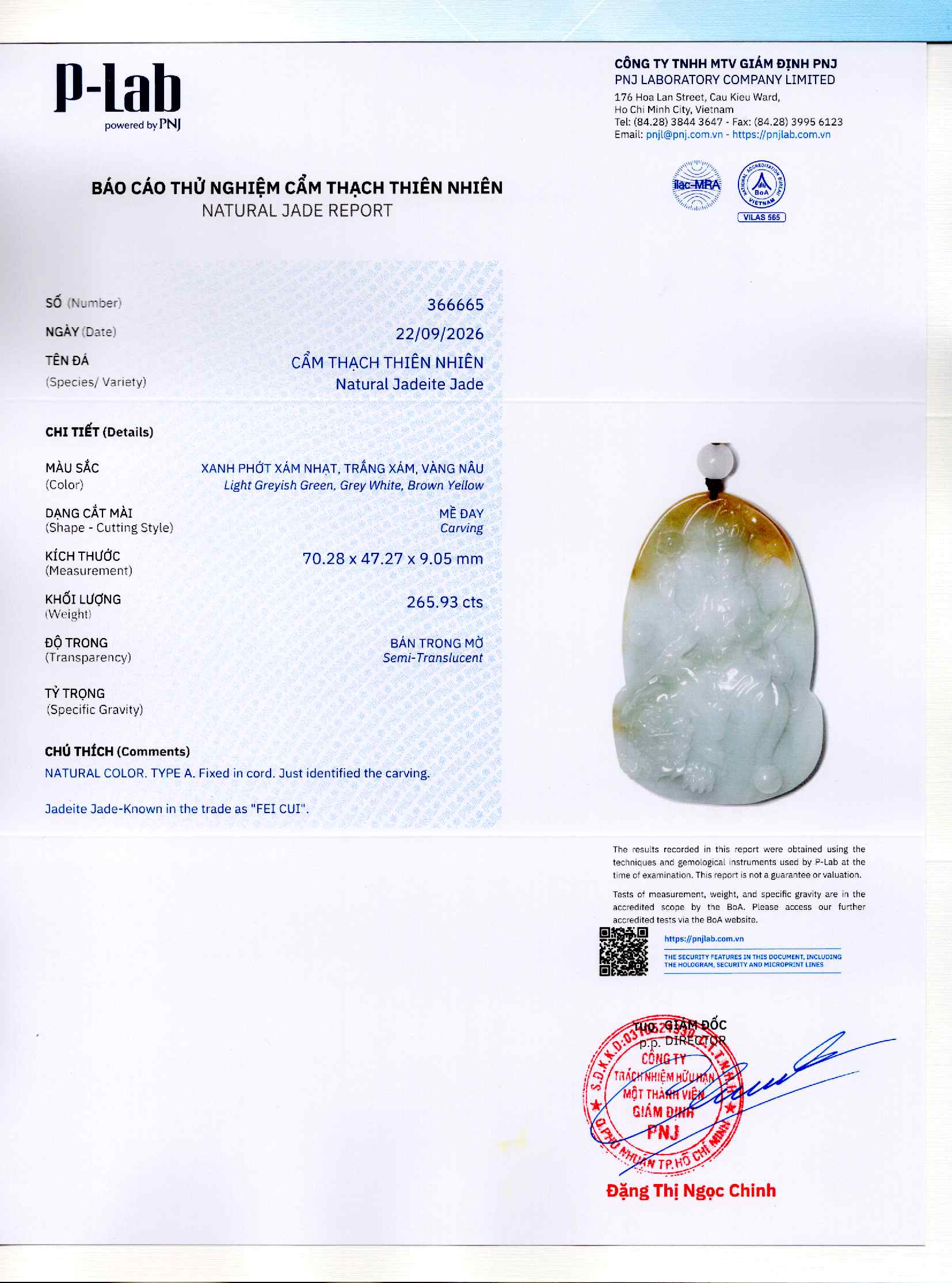 Giấy giám định 366665