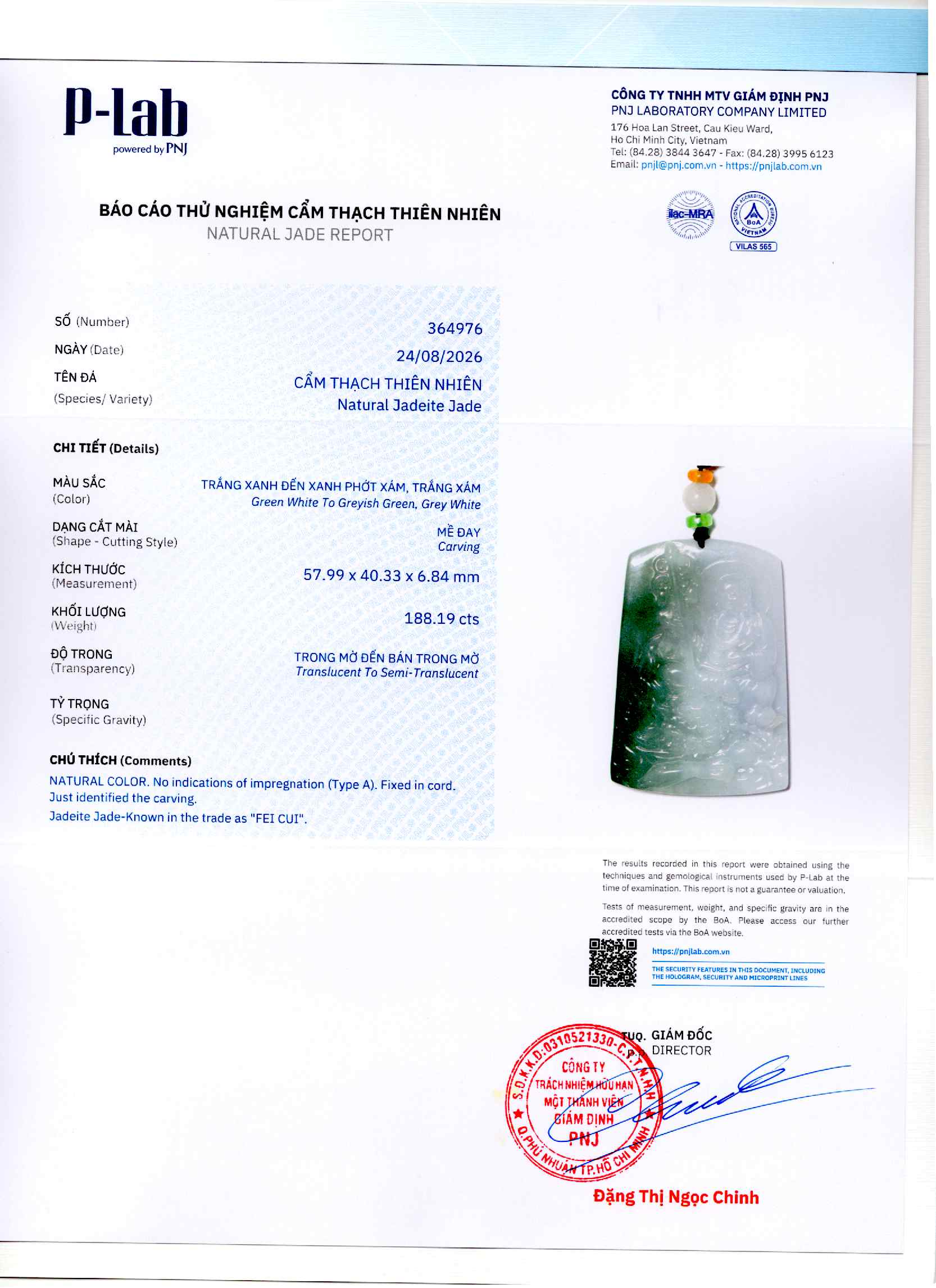 Giấy giám định 364976