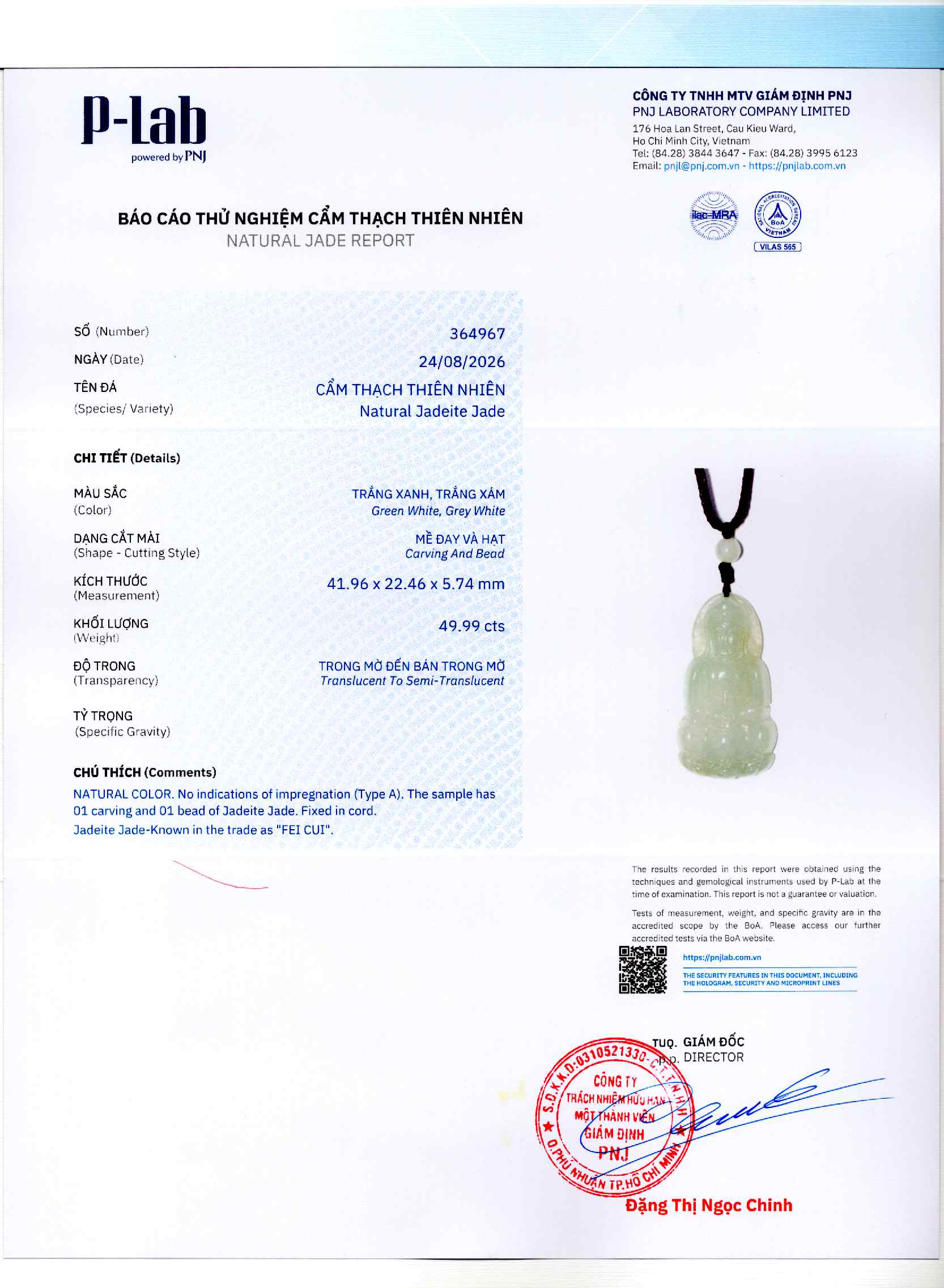 Giấy giám định 364967