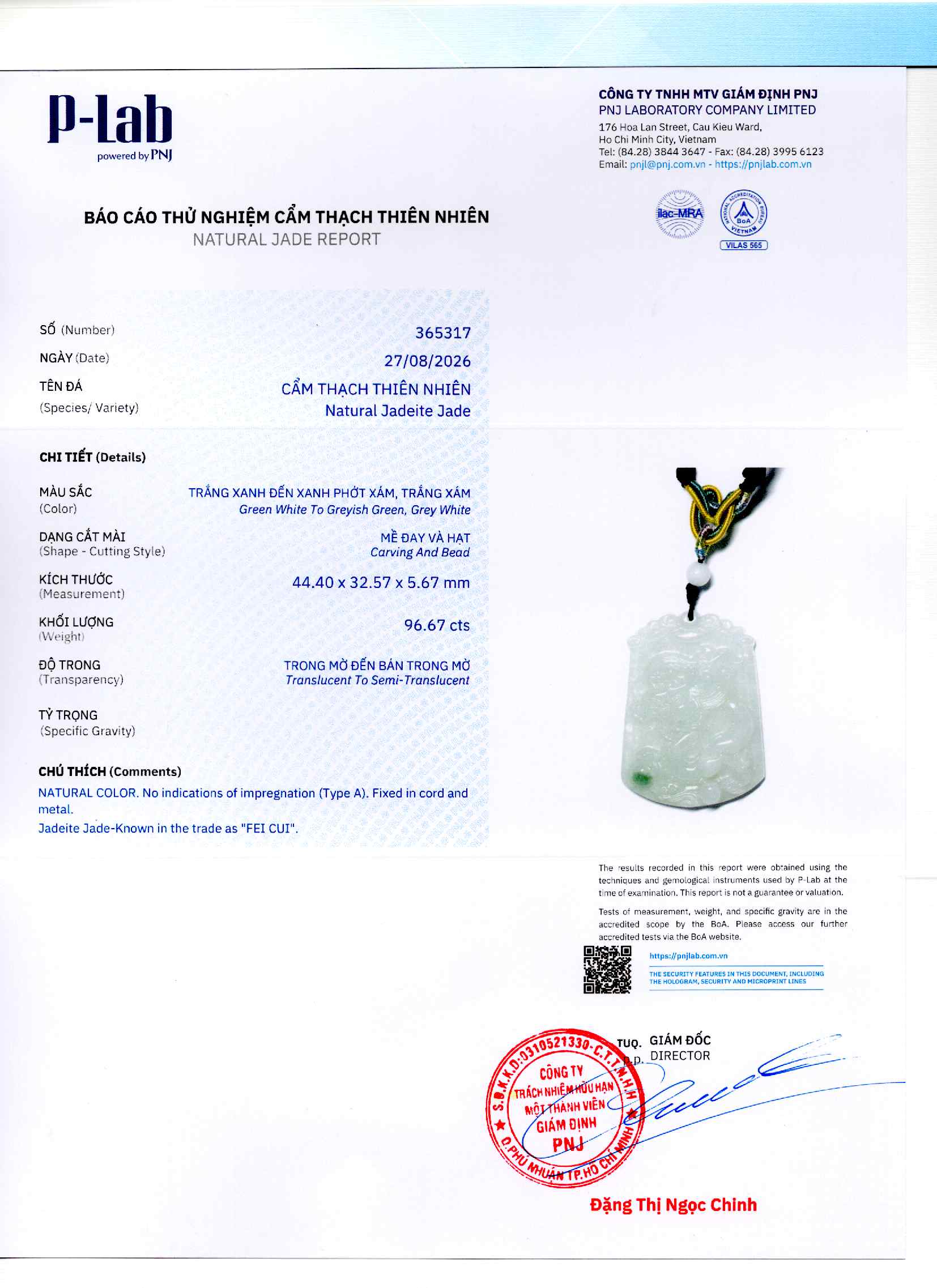 Giấy giám định 365317