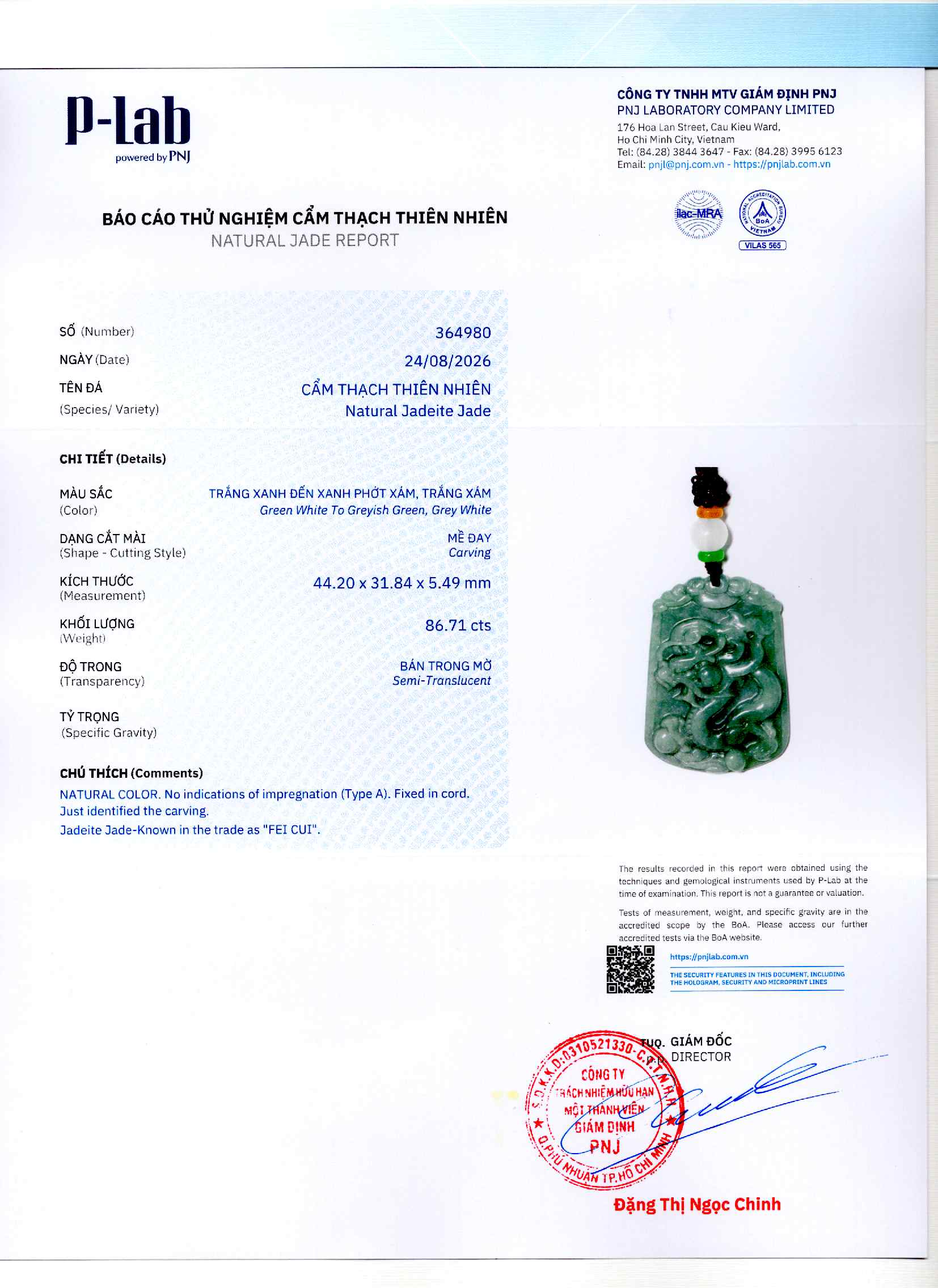 Giấy giám định 364980