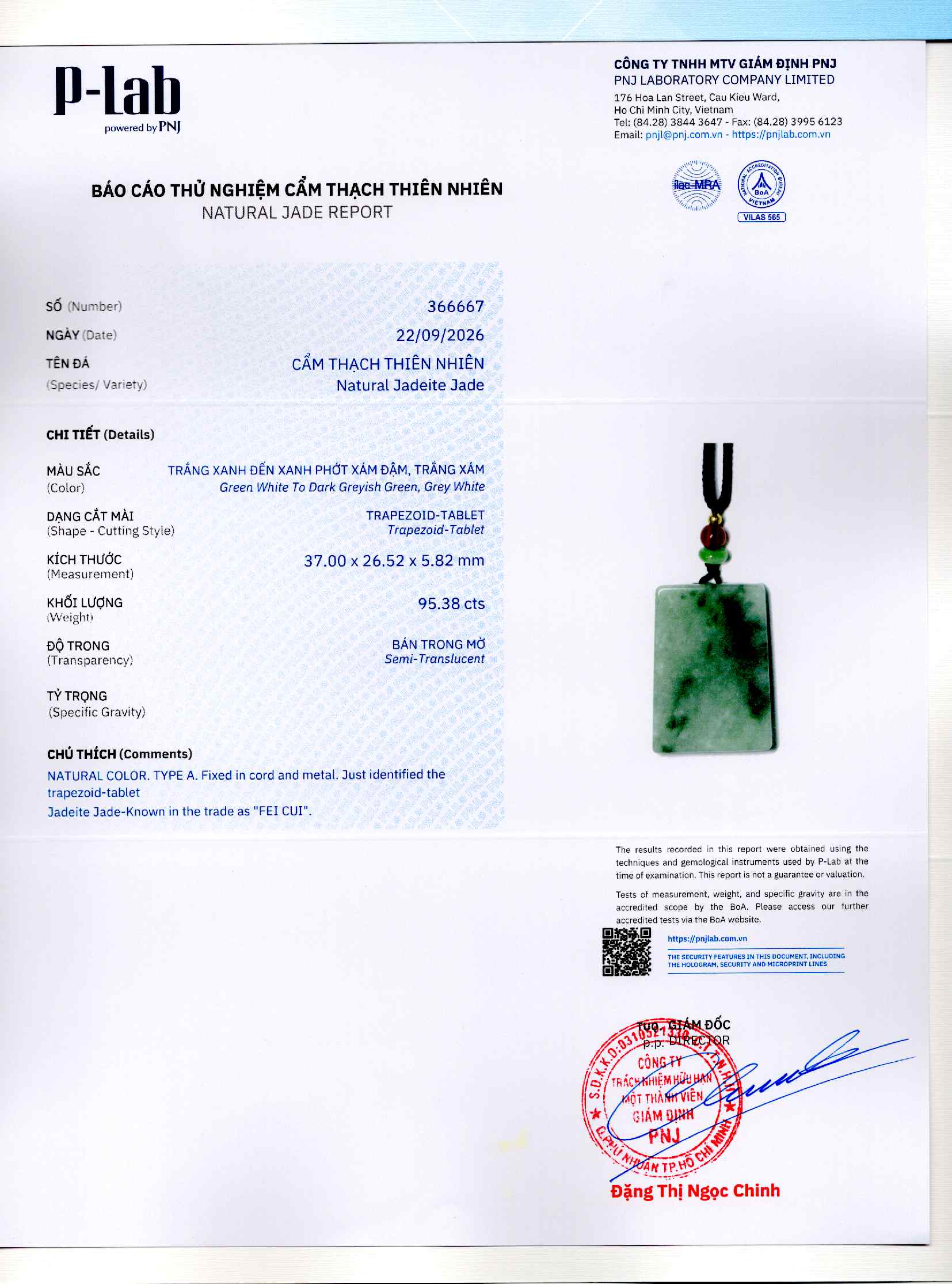 Giấy giám định 366667