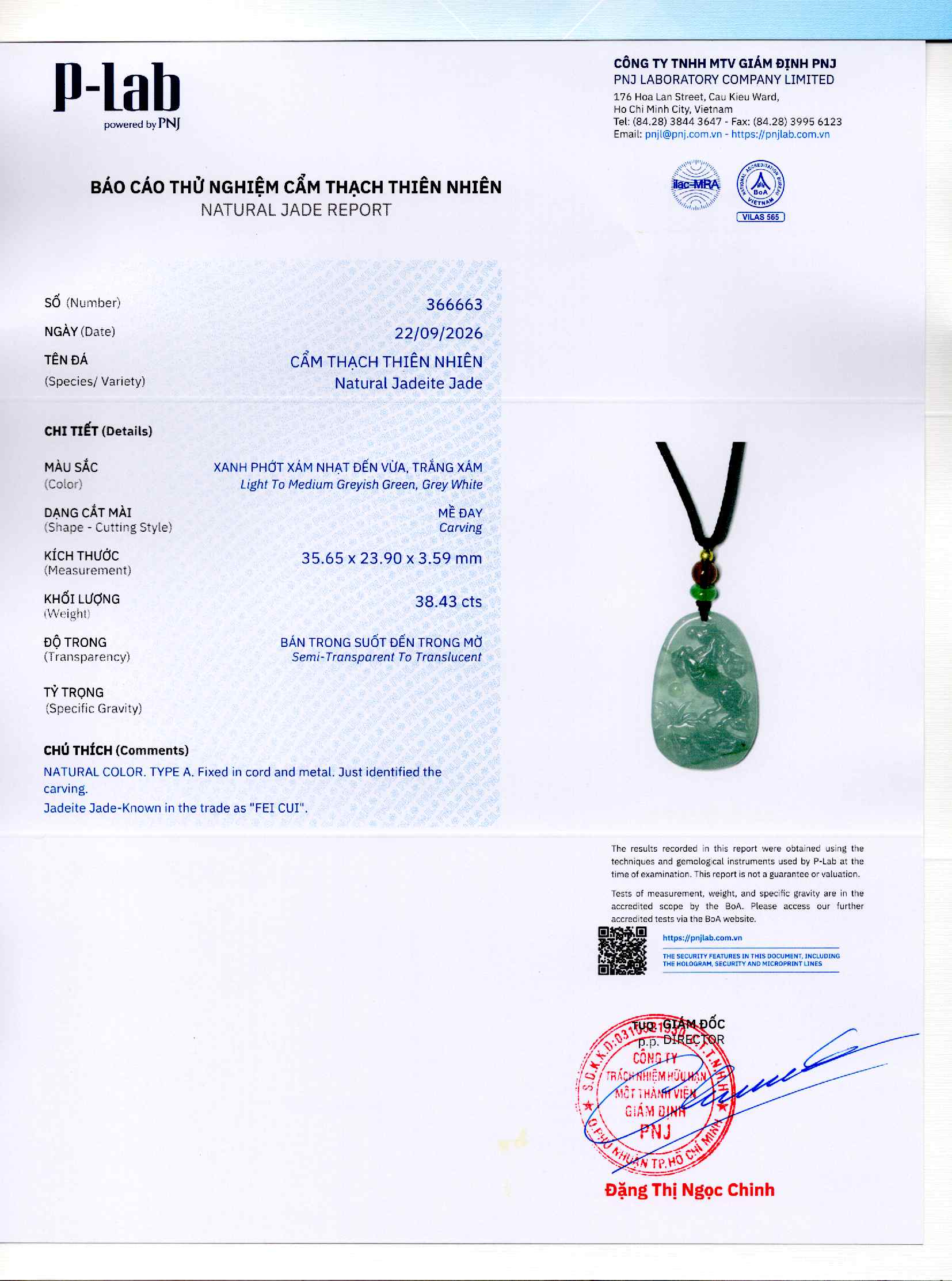 Giấy giám định 366663