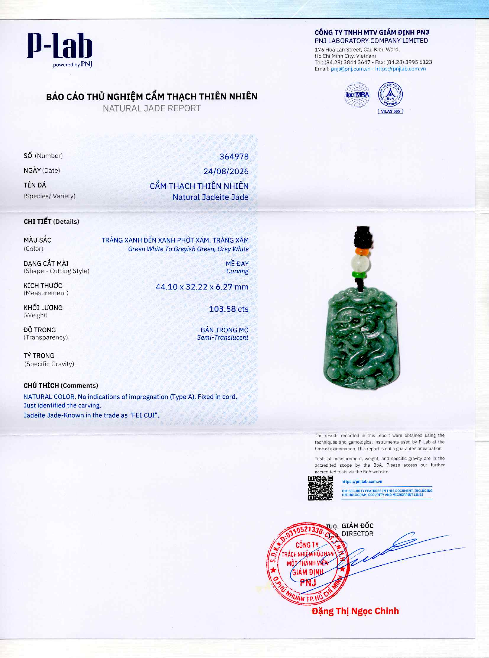 Giấy giám định 364978