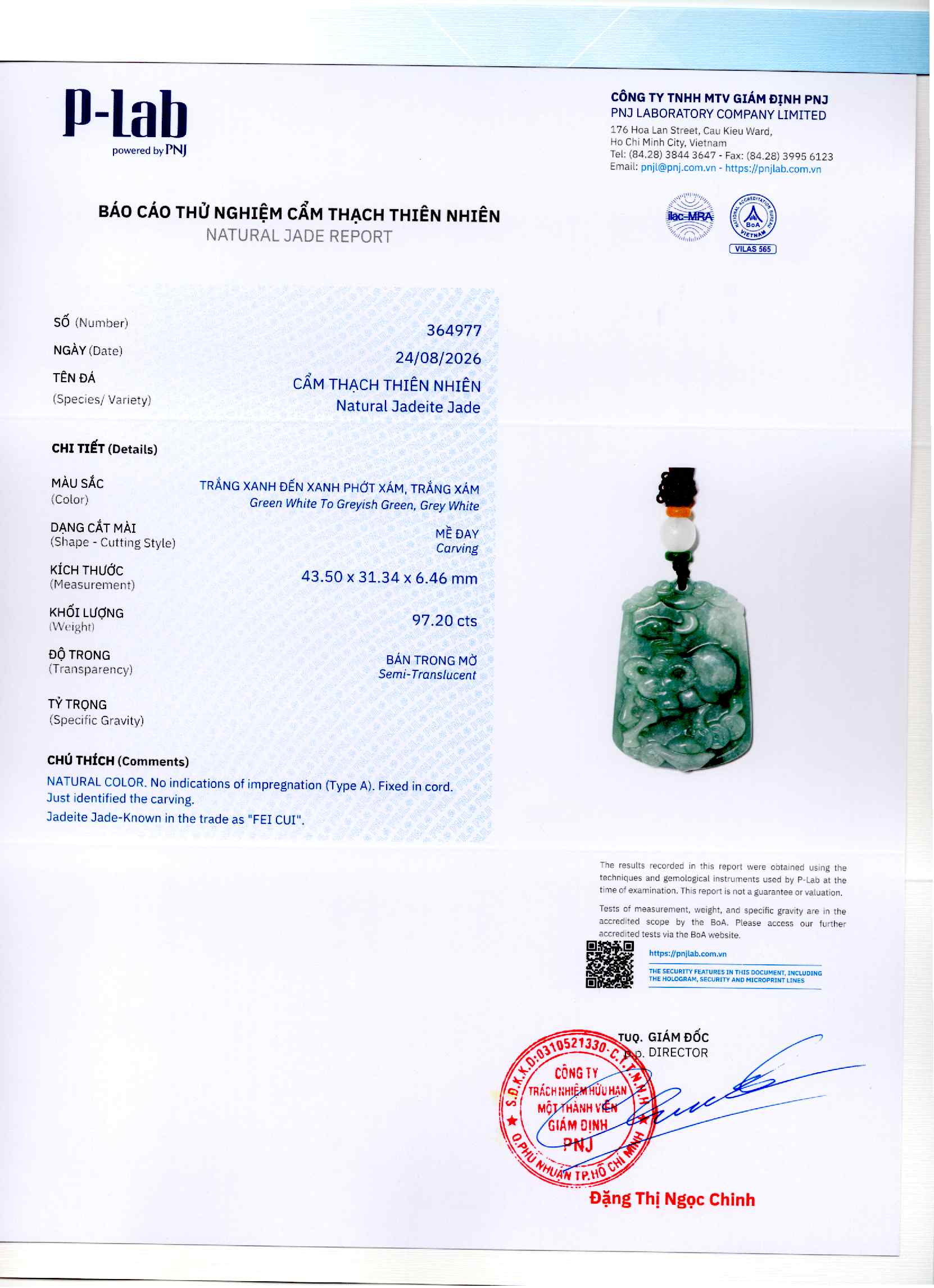 Giấy giám định 364977