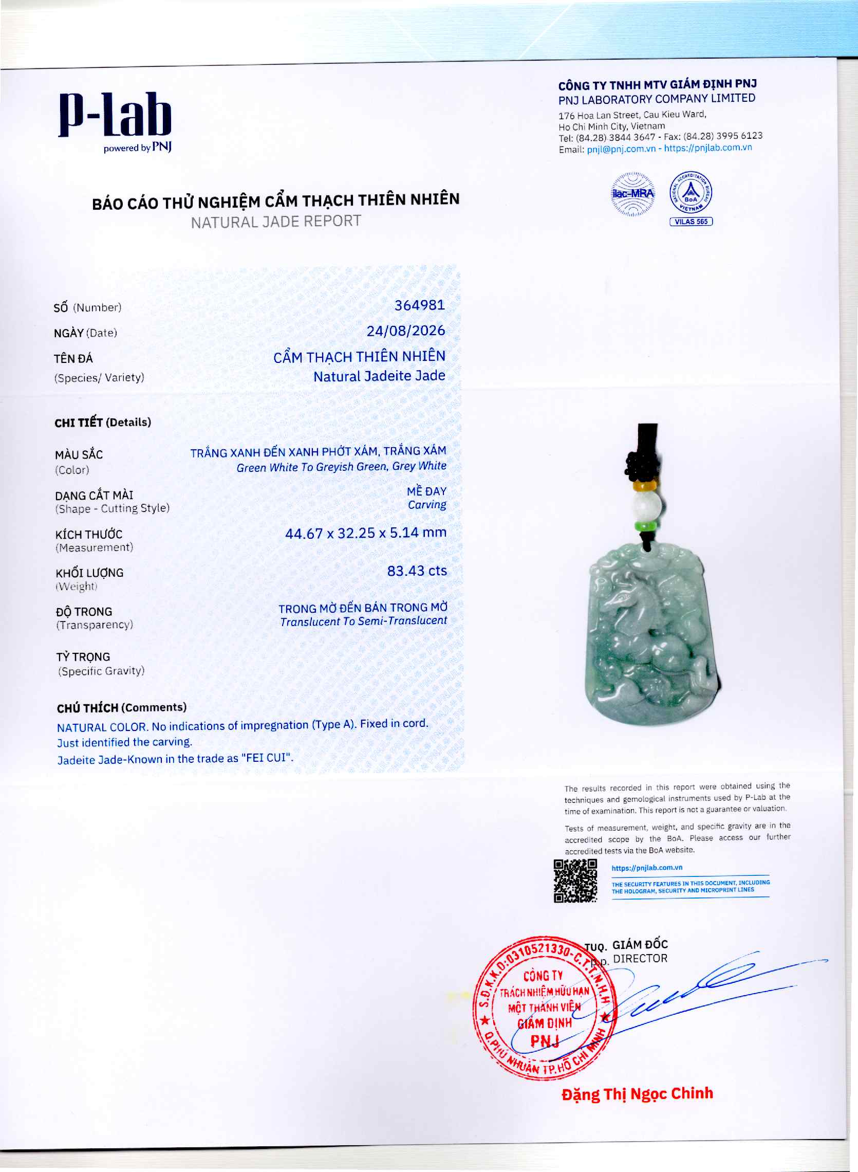 Giấy giám định 364981