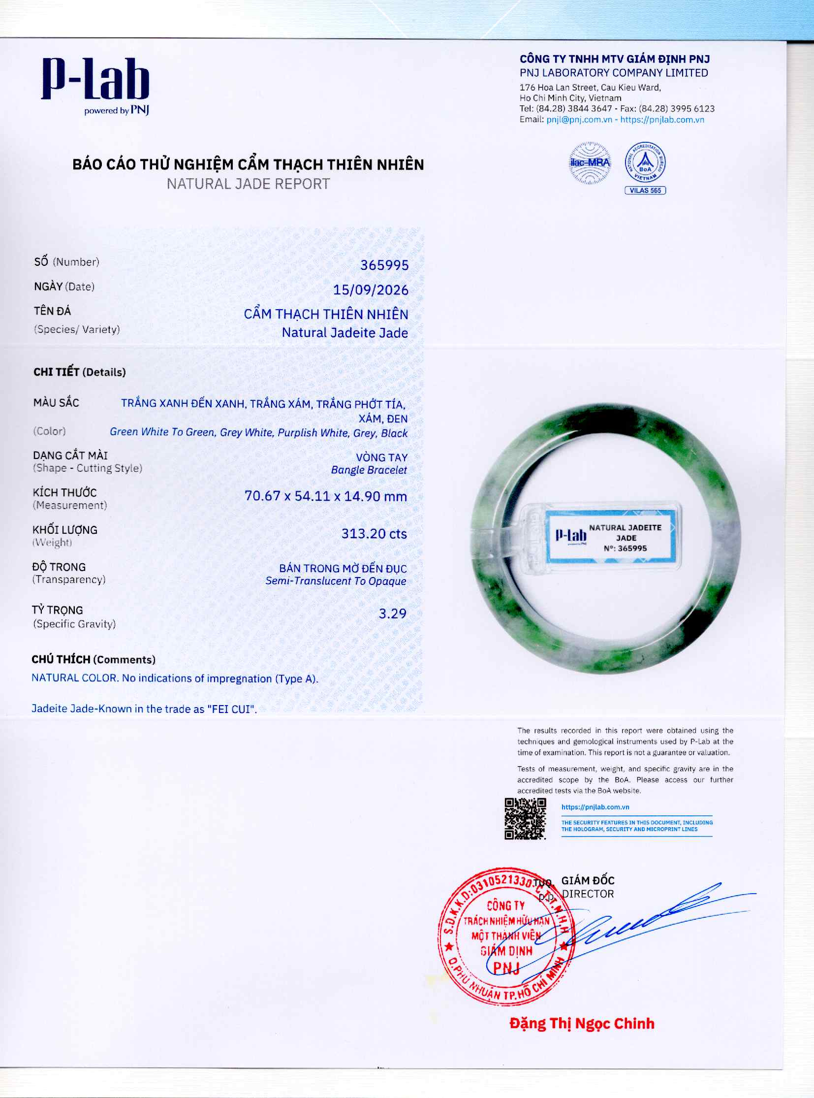 Giấy giám định 365995